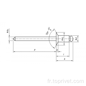 Aluminium / acier inoxydable Consérée de type ouverte Rivets aveugles